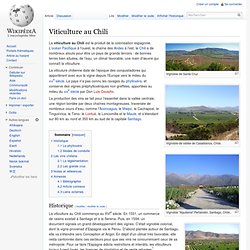 Viticulture au Chili