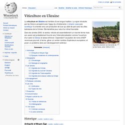 Viticulture en Ukraine