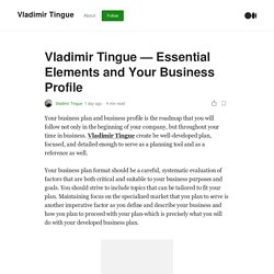 Vladimir Tingue — Essential Elements and Your Business Profile