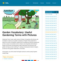 In the Garden Vocabulary in English