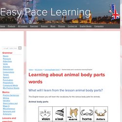 Animal body parts vocabulary learning English