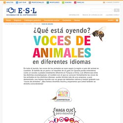 Voces de animales - ESL cursos de idiomas