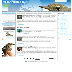 Vogeltrekstation