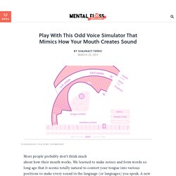 Play With This Odd Voice Simulator That Mimics How Your Mouth Creates Sound