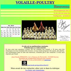 Volaille-Poultry