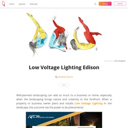 Low Voltage Lighting Edison