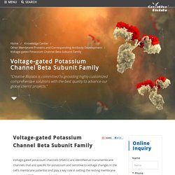 Voltage-gated Potassium Channel Beta Subunit Family