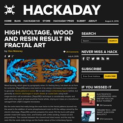 High Voltage, Wood and Resin Result in Fractal Art
