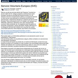 Servicio Voluntario Europeo (SVE)