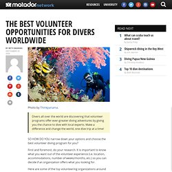 The best volunteer opportunities for divers worldwide