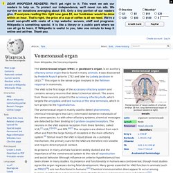 Vomeronasal organ