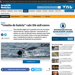 ″Vómito de baleia″ vale 116 mil euros