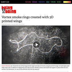 Vortex smoke rings created with 3D printed wings