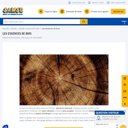 Votre guide des essences de bois pour la construction - SAMSE