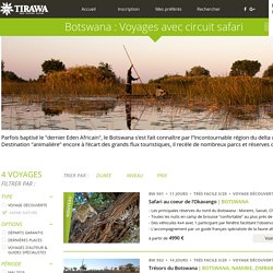 Voyage original : un safari au Botswana