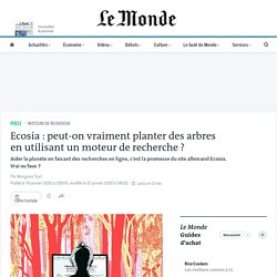 Ecosia : peut-on vraiment planter des arbres en utilisant un moteur de recherche ?