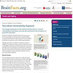 Teen Brain Vulnerability Exposed
