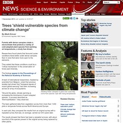 Trees 'shield vulnerable species from climate change'