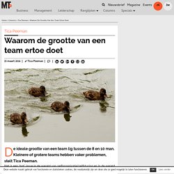Waarom de grootte van een team ertoe doet - MT.nl