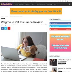 Wagmo.io Pet Insurance Review