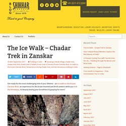 The Ice Walk – Chadar Trek in Zanskar
