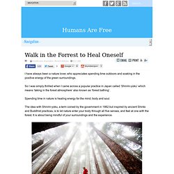 Walk in the Forrest to Heal Oneself