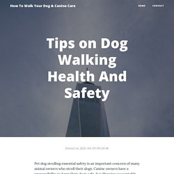 Tips on Dog Walking Health And Safety