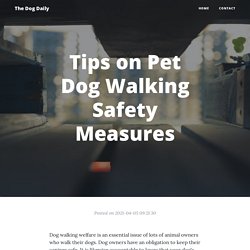 Tips on Pet Dog Walking Safety Measures