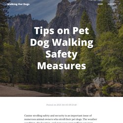 Tips on Pet Dog Walking Safety Measures