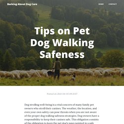 Tips on Pet Dog Walking Safeness