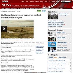 Wallasea Island nature reserve project construction begins