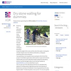 Ordnance Survey Blog » Dry stone walling for dummies