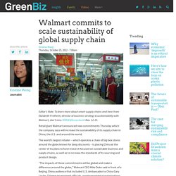 Walmart commits to scale sustainability of global supply chain