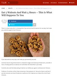 Eat 5 Walnuts And Wait 4 Hours - This Is What Will Happens To You