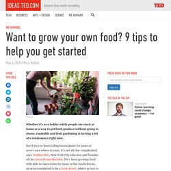 Want to grow your own food? 9 tips to help you get started