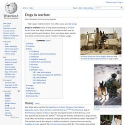 Dogs in warfare