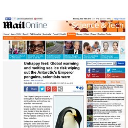 Global warming and melting sea ice risk wiping out Antarctic's Emperor penguins