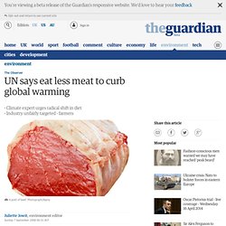 UN says eat less meat to curb global warming