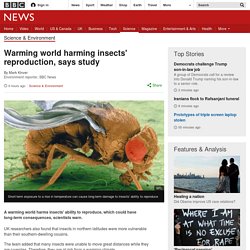 Warming world harming insects' reproduction, says study [10/01/17]