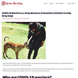 COVID 19 Warriors vs. Stray Warriors: A Pawsitive Initiative to Help Stray Dogs