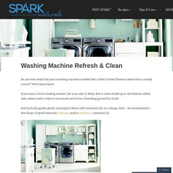 Washing Machine Refresh & Clean