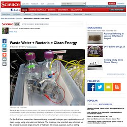 Waste Water + Bacteria = Clean Energy