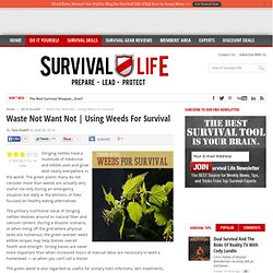Using Weeds For Survival - Survival Life