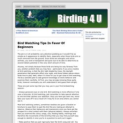 Bird Watching Tips In Favor Of Beginners