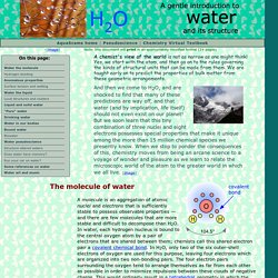 Water and its structure