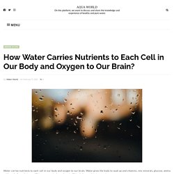 How Water Carries Nutrients to Each Cell in Our Body and Oxygen to Our Brain? - AQUA WORLD