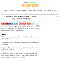 Science Experiment For Kids