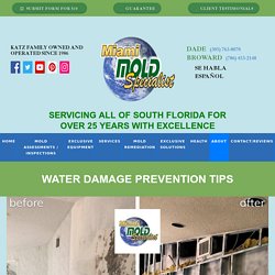 Water Damage Prevention Tips