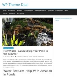 How Water Features Help Your Pond in the summer