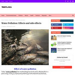 Water Pollution: Effects and side effects